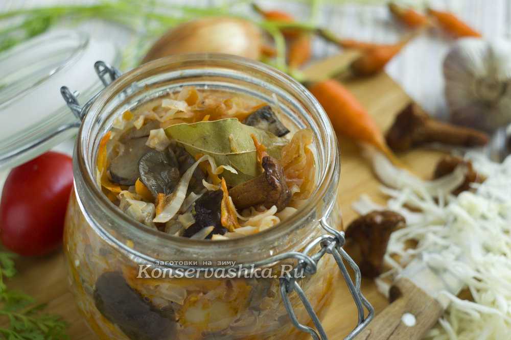 Грибная солянка на зиму со свежей капустой: пошаговый рецепт с фото