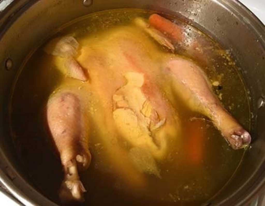Суп лапша с курицей по-домашнему. 3 вкусных рецепта куриного супа